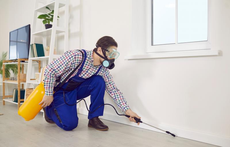 Diagnostic plomb, quels risques et obligations pour les propriétaires ?